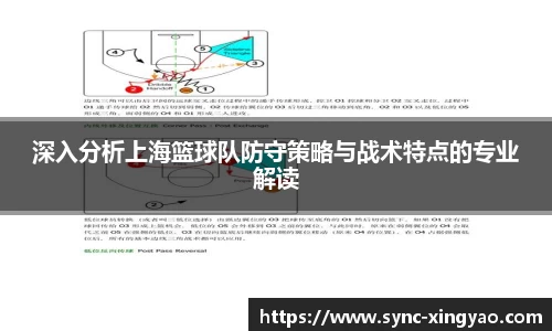 深入分析上海篮球队防守策略与战术特点的专业解读